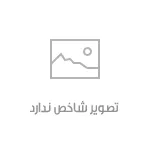 چهل روز محسن چاوشی