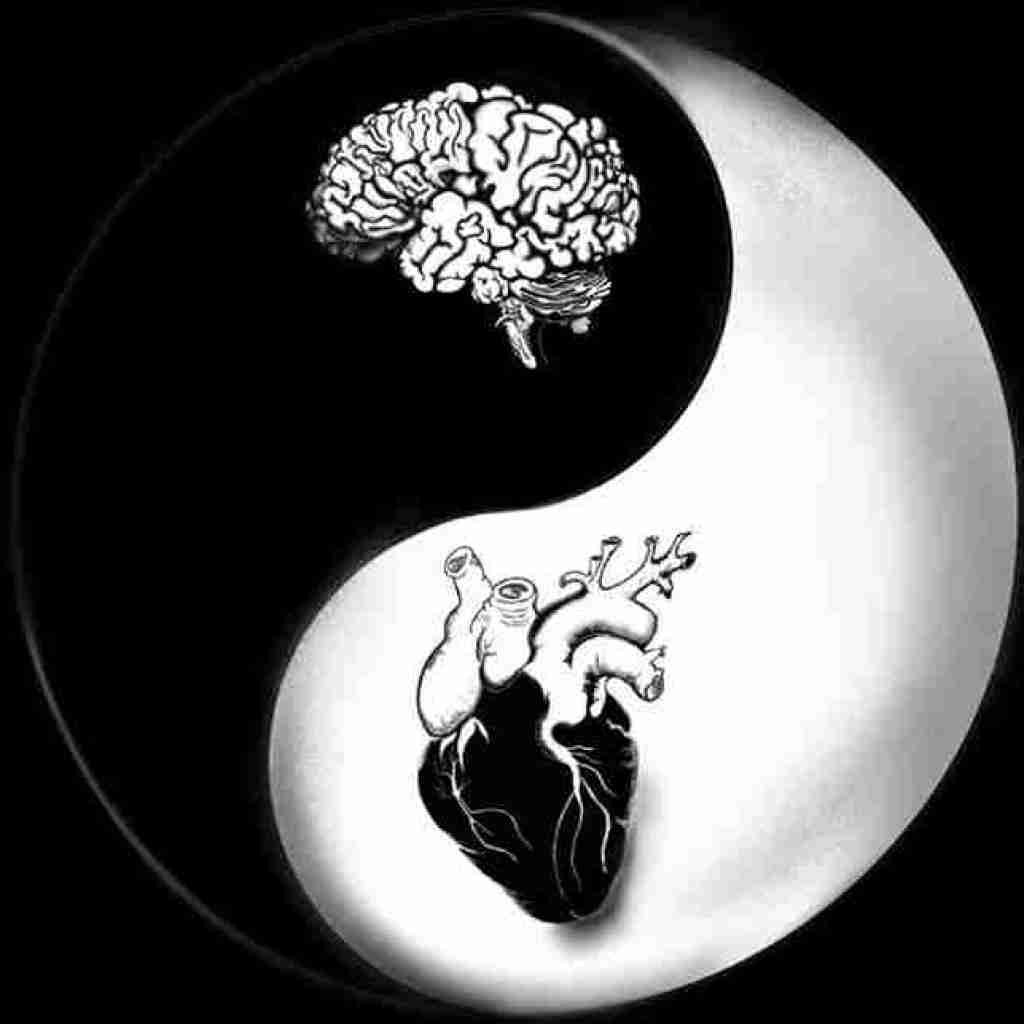 نگین چمازی یار مازنی