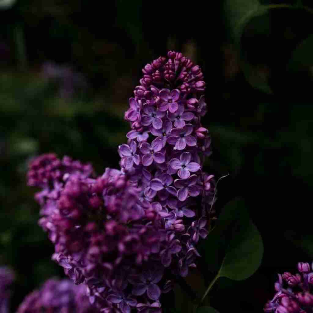 من به تو دلم گرمه مهم نی قبل تو