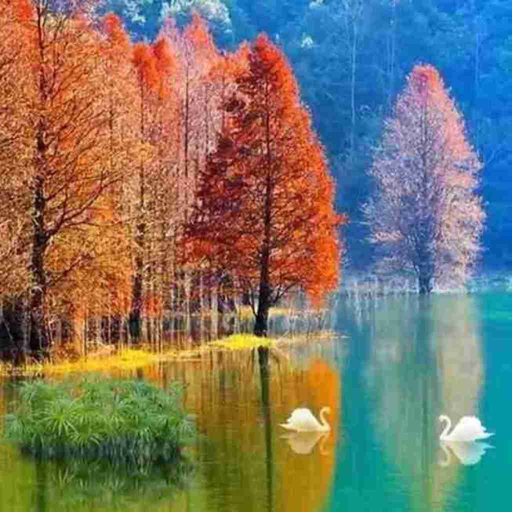 دیگه با من حرف نزن خونه نریا بارونه