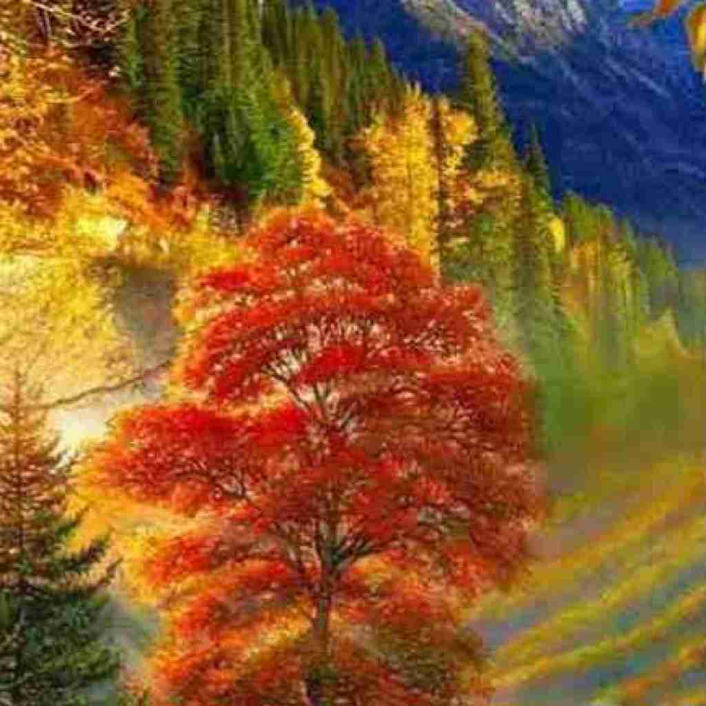 بزن قدش برو بعدش این آدم به آدم عادت نداره