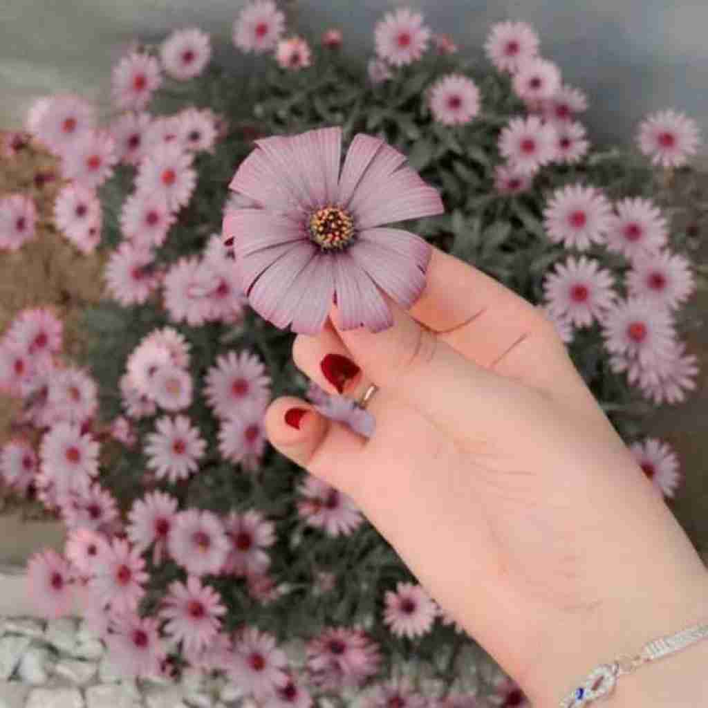 دلم چه بی قراره شب و روز نداره با صدای بچه