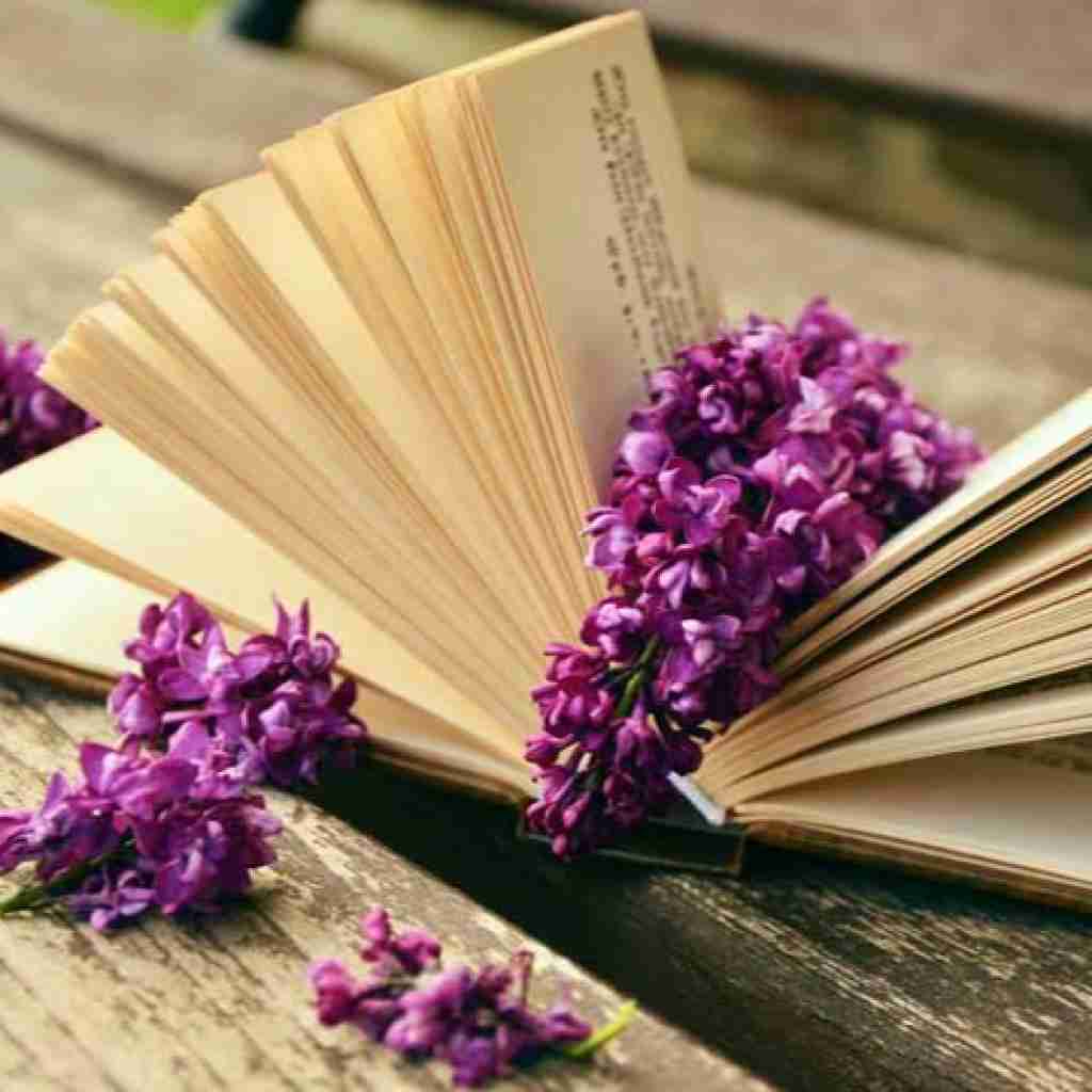  برش زده یه تیکه وای دامنش چه شیکه