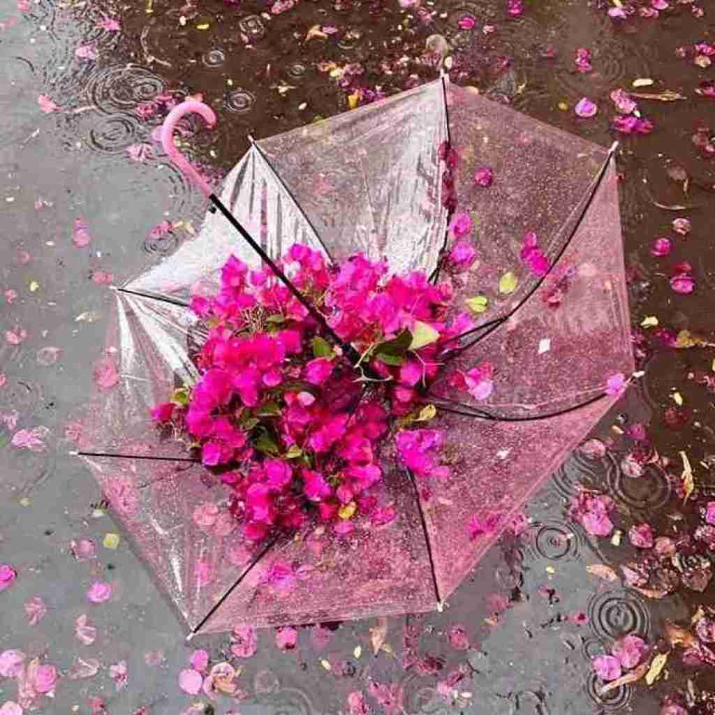 دوس داری بازم واسم ناز کنی نه تو فکر کردی (ورژن گروهی)