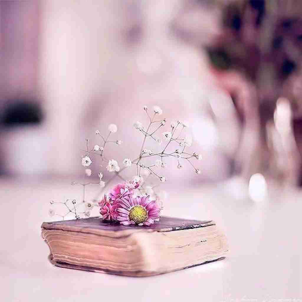 حاجی توام رویاتو نباز حقتو بگیر