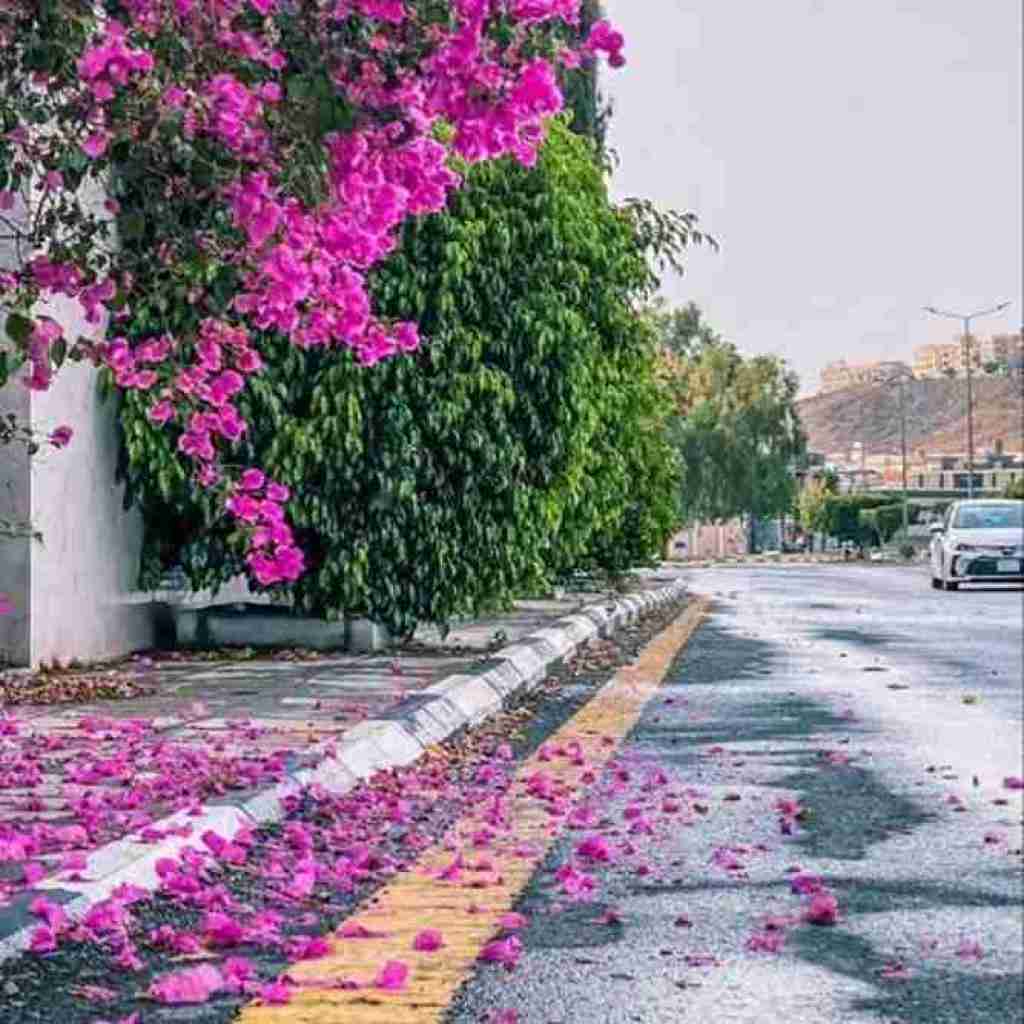 میگفت تو نداری دلشو یه روز بخوای ترکم کنی با صدای بچه
