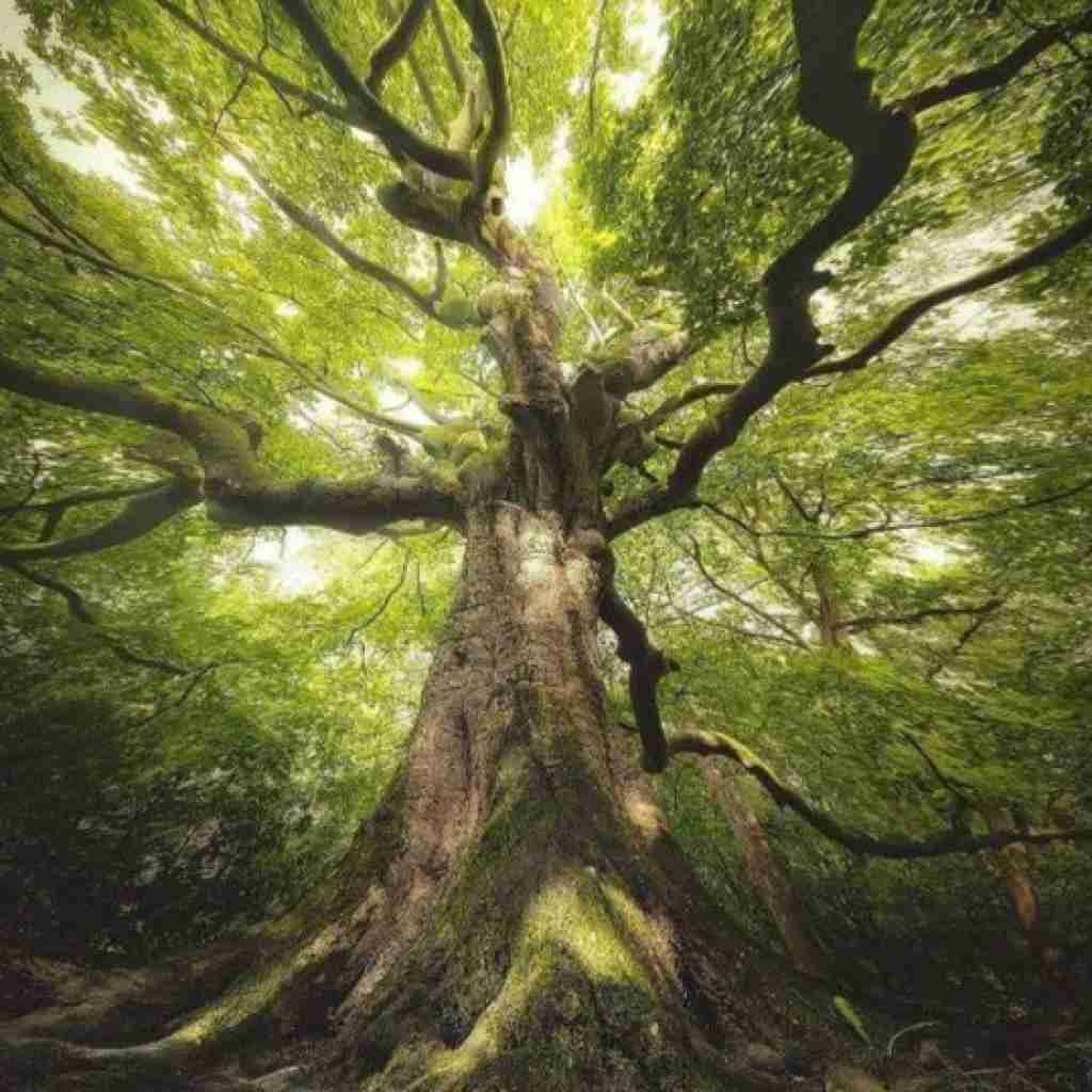 حتی اگر بمیرمم فکرت نمیره از سرم با صدای زن