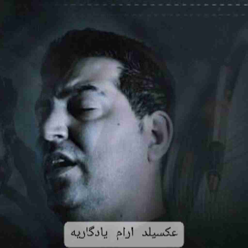 پارسا محمدی عکسیلد ارام یادگاریه