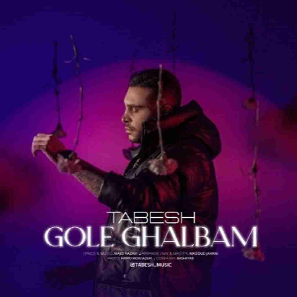 تابش گل قلبم