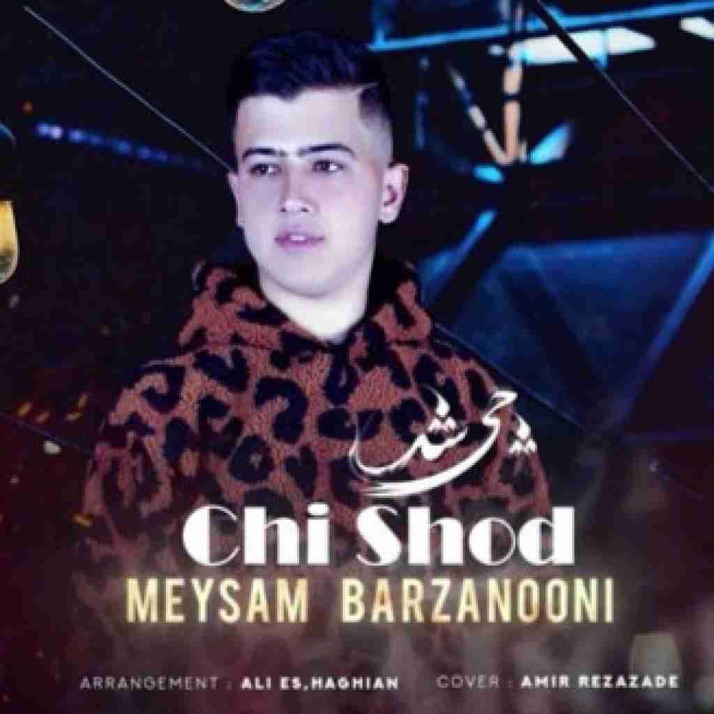 میثم برزنونی چی شد