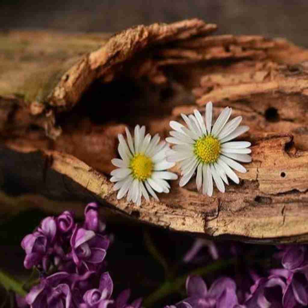 با یکی دیگه بودی اما به من نگفتی