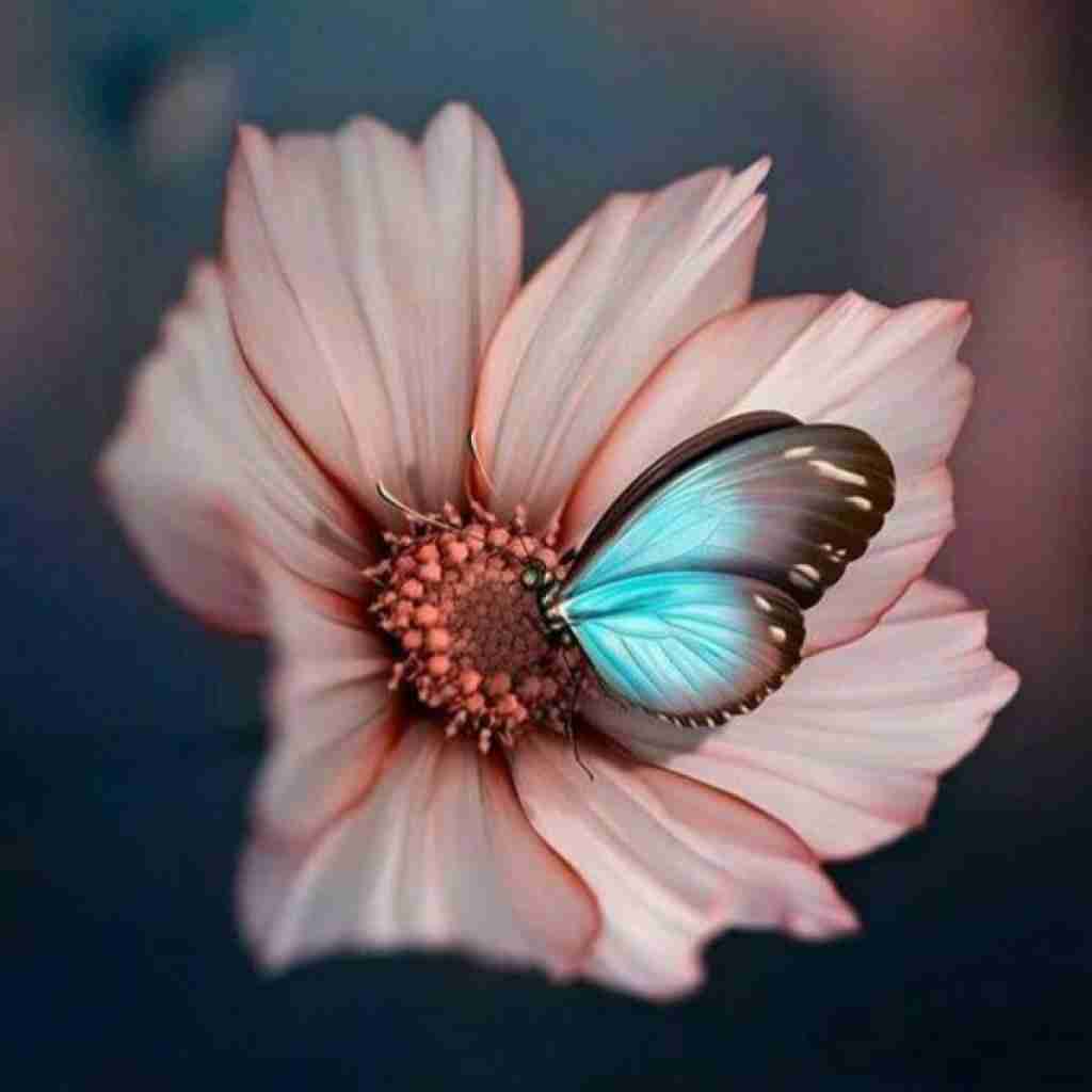 مست آن می کن مرا فارغ از می کن مرا