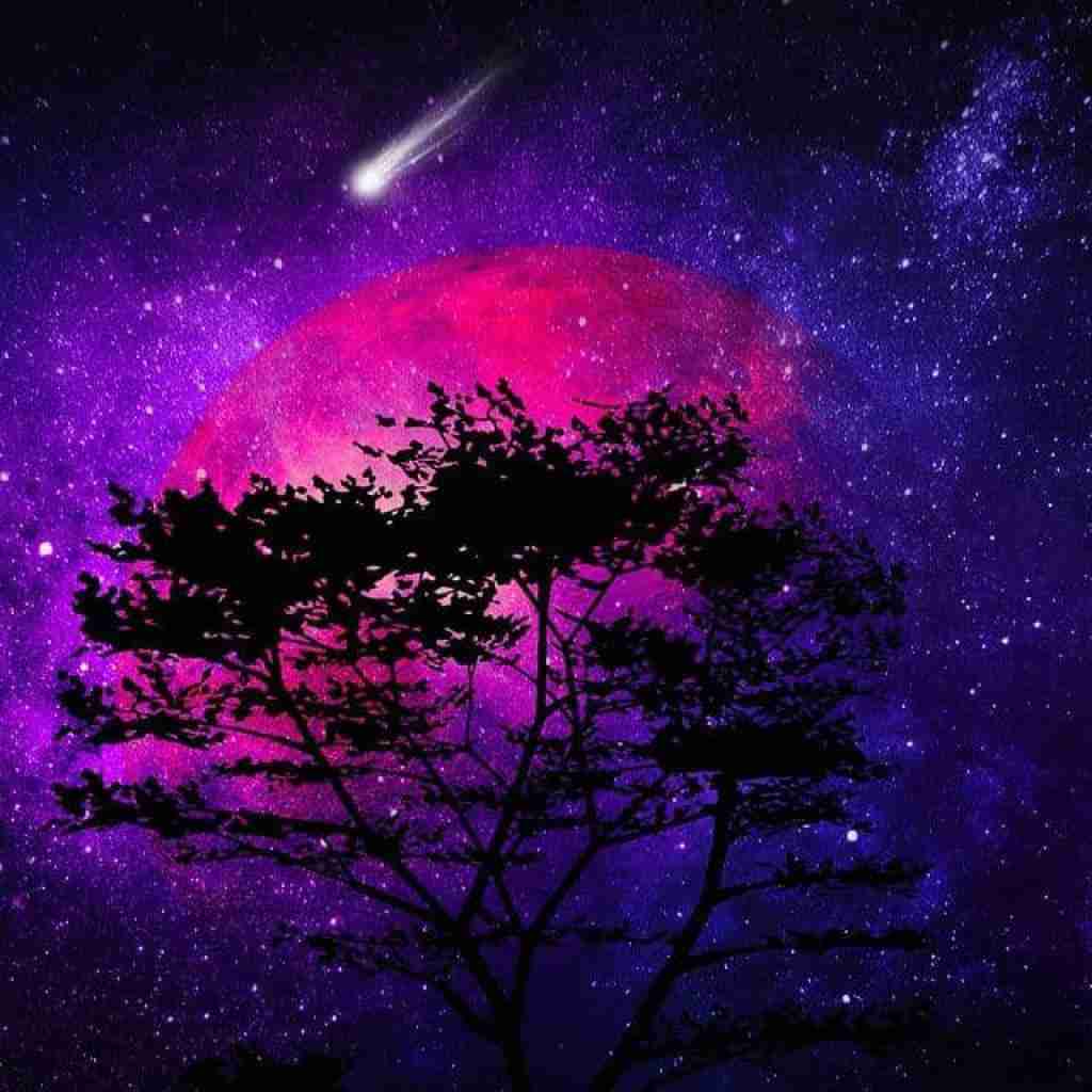 مورچه جونم تو ماهی عیب نداره سیاهی