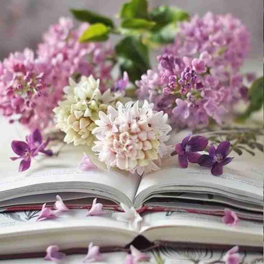  بعد تو میرم سراغ اون شیکو خوشگله