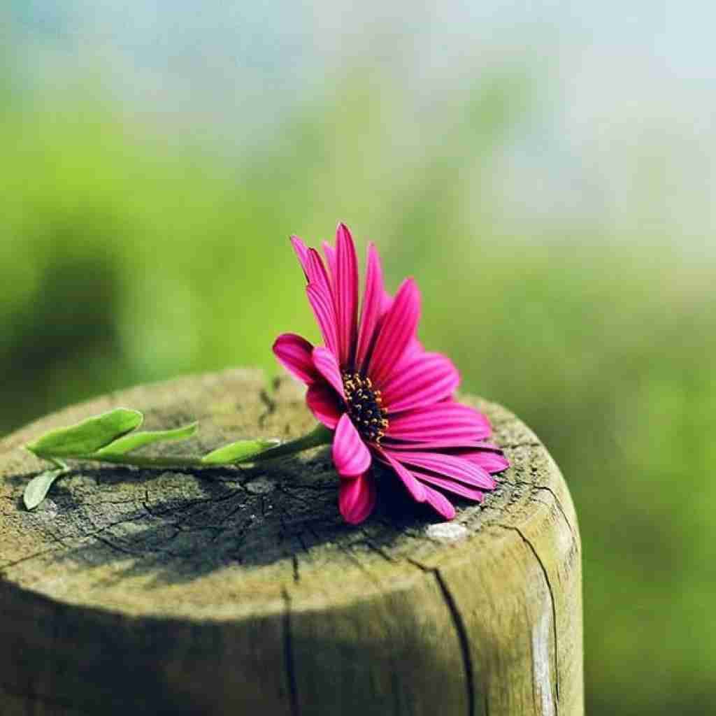 دیگه قلبم جون نداره الان حس میکنم خدا دوستم نداره