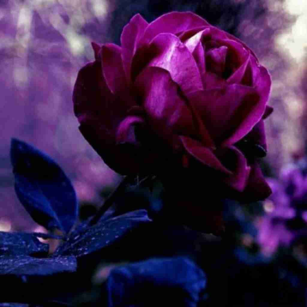 انرژی بده لطفا تا باشی محکم هیترا زر مفتن