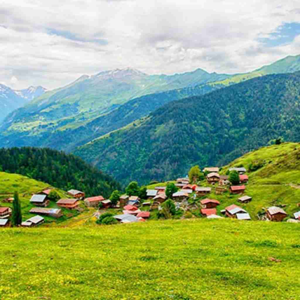 فاطمه عطایی بانو جان