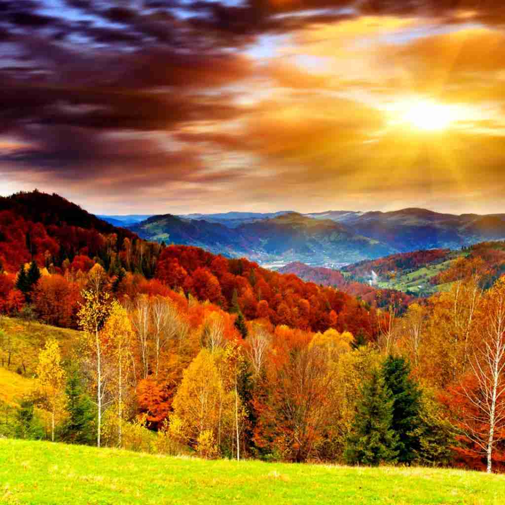 هلیکوپتر هلیکوپتر