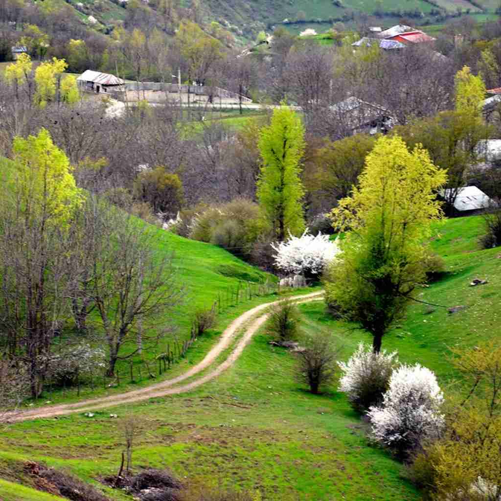 گفتن دختره رو میخوای گفت آره میکس ترکیبی ترکی