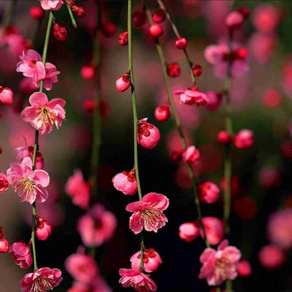  تنهای بی سنگ صبور خونه ی سرد و سوت و کور با صدای دختر