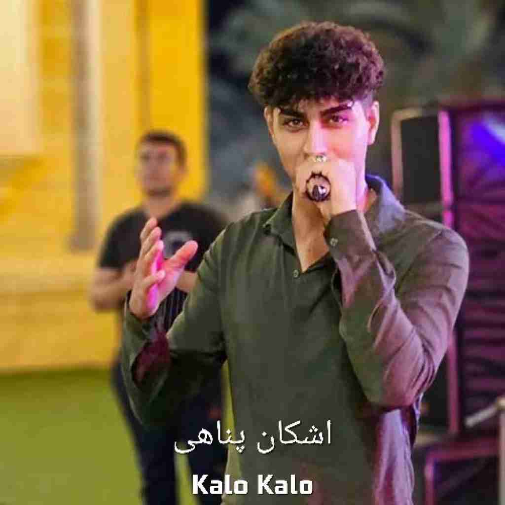 اشکان پناهی کلو کلو