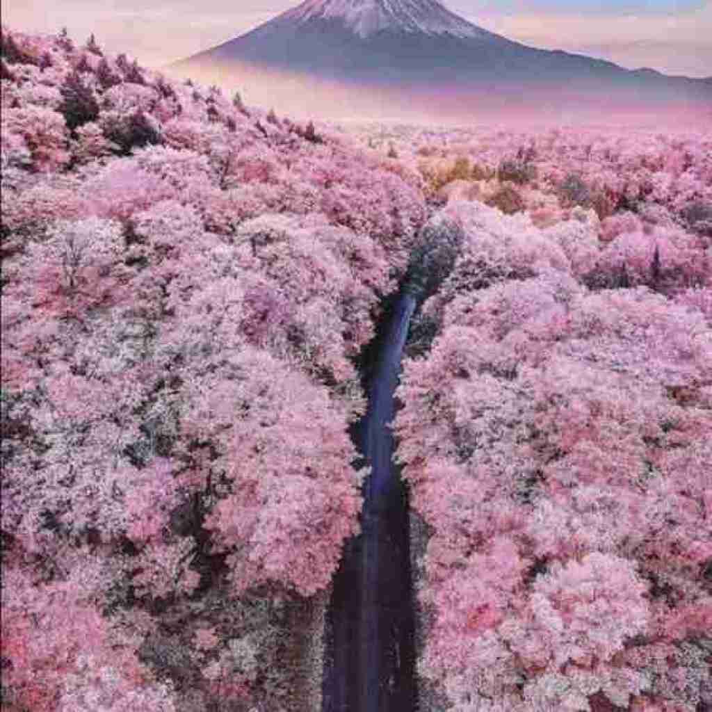 بذار رک بگم از همه ترسیدم از آشنا و غریبه