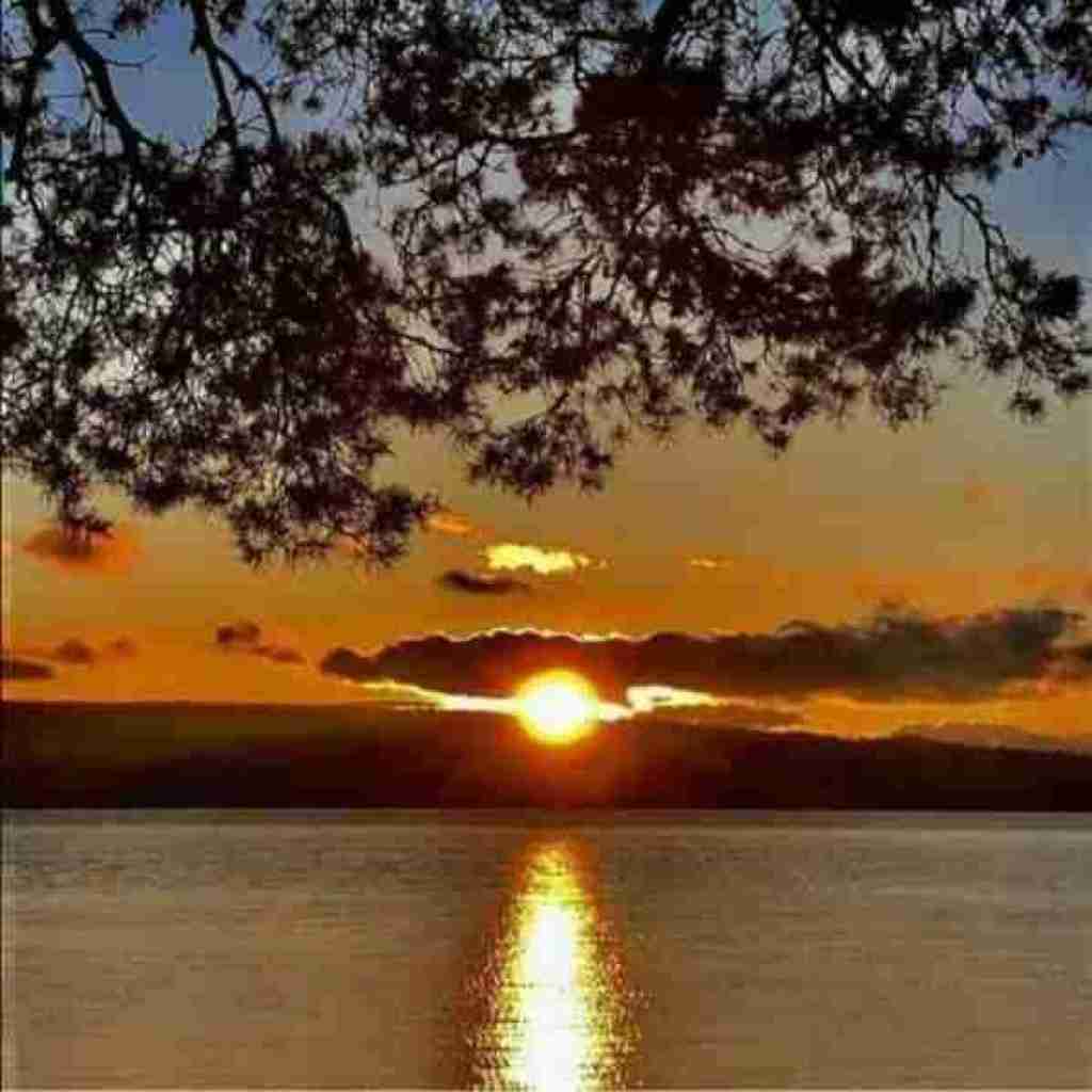 نمیگیره کسی که جات چشم تو چشم میشم