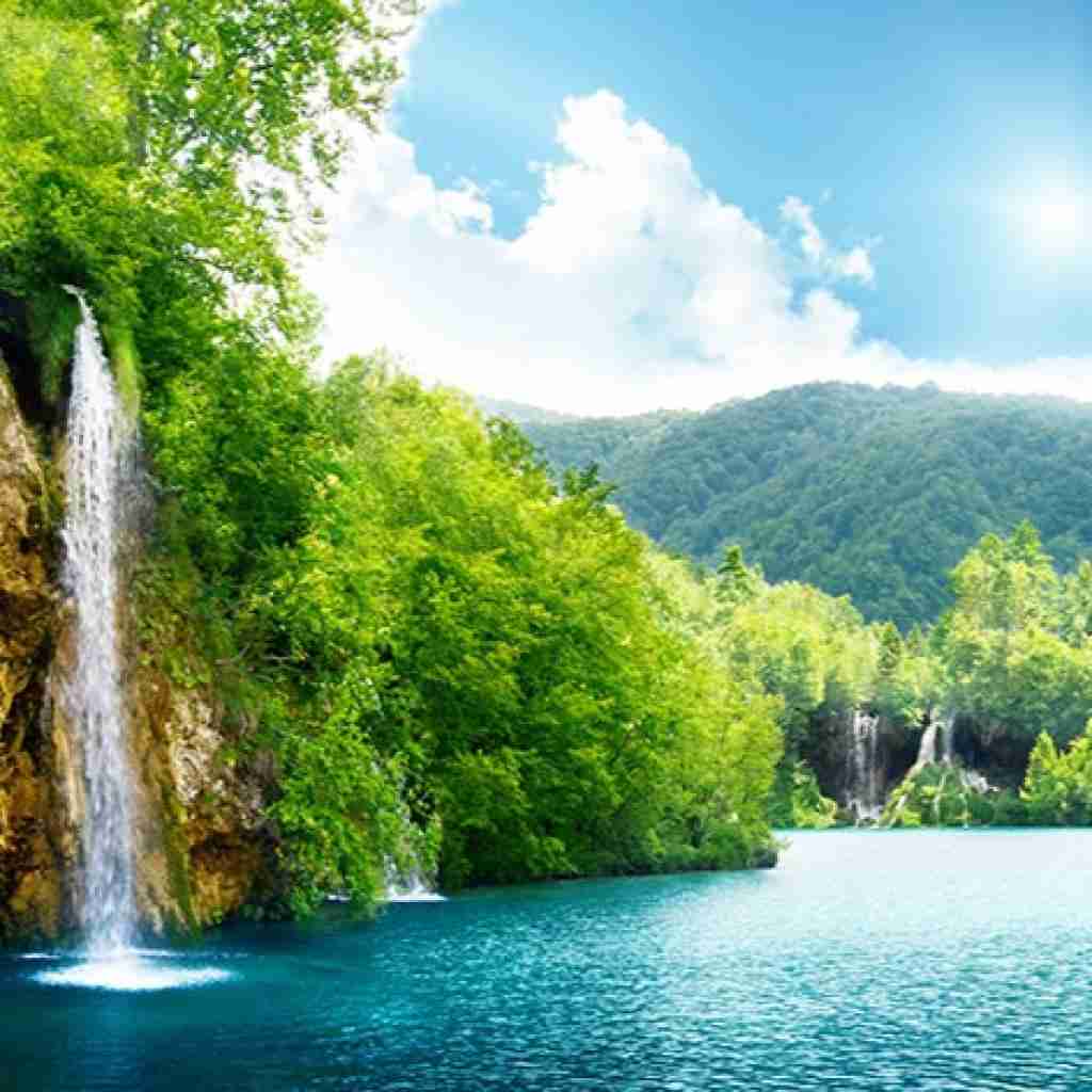  باو ولم کن کجاست اون گلدون کاورم کن