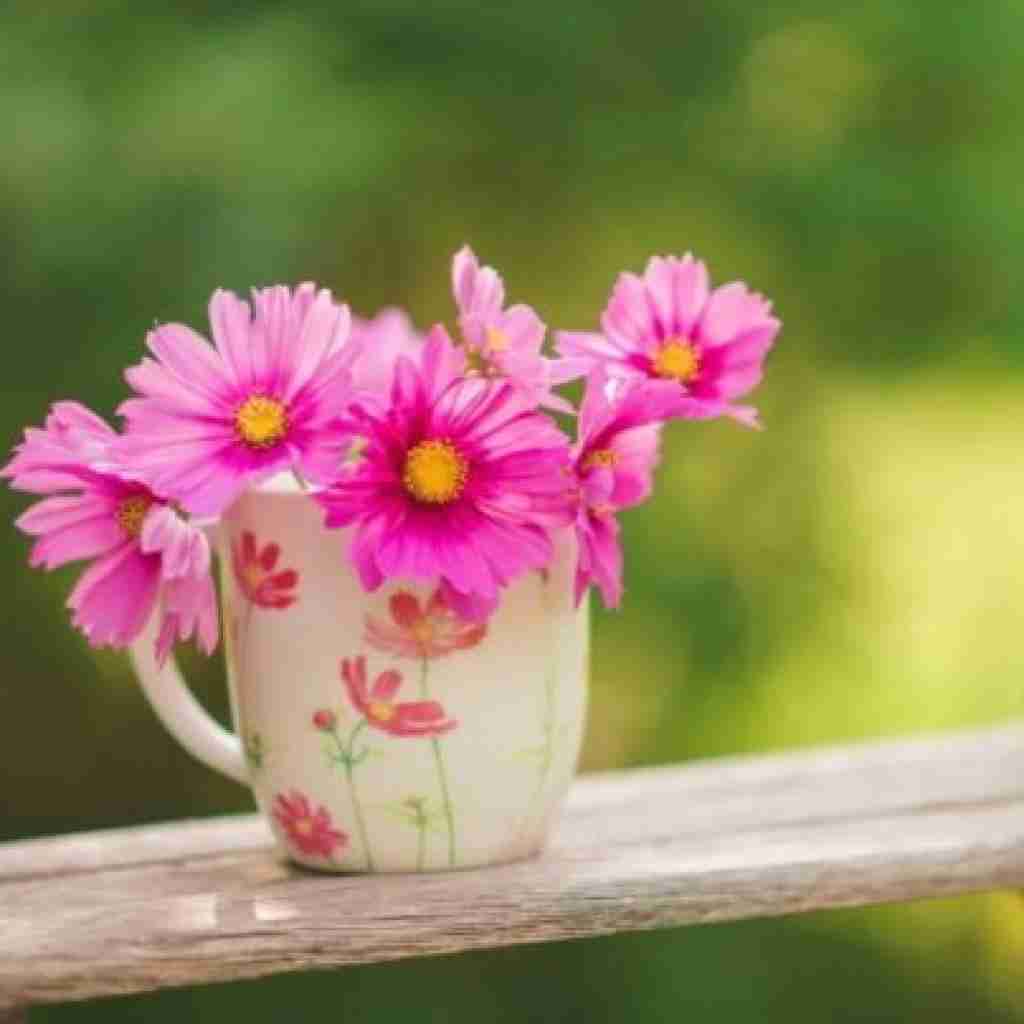  دافم نیجریه ایه عجب جیگریه ایه