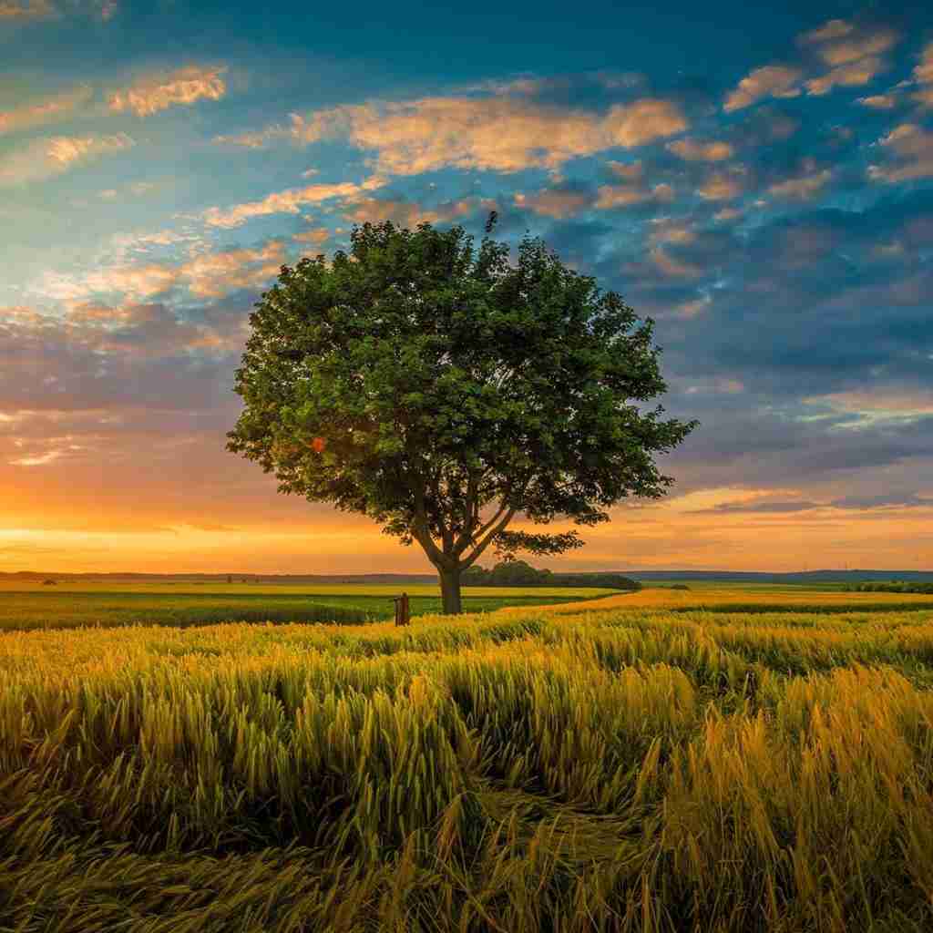 اگه میخوای بری برو من ندارم دلشو ترند اینستا