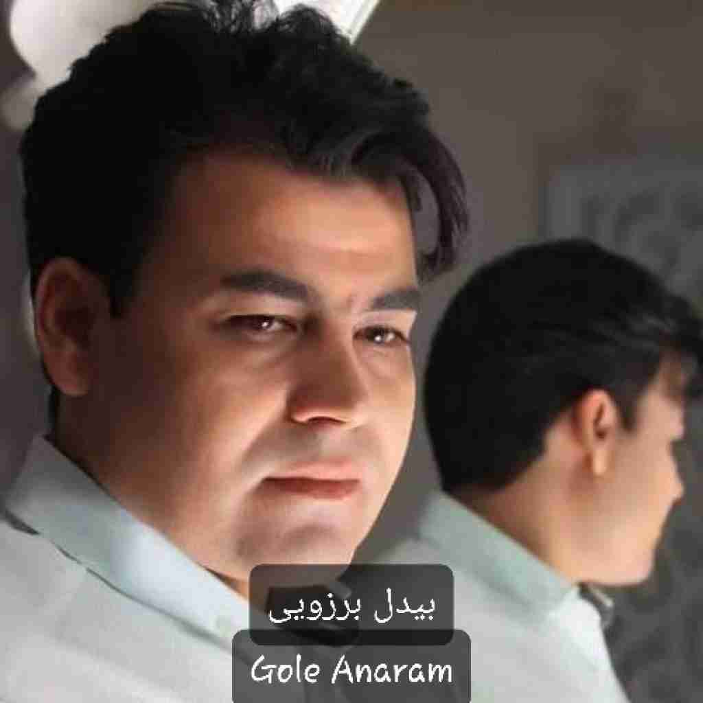 بیدل برزویی گل انارم