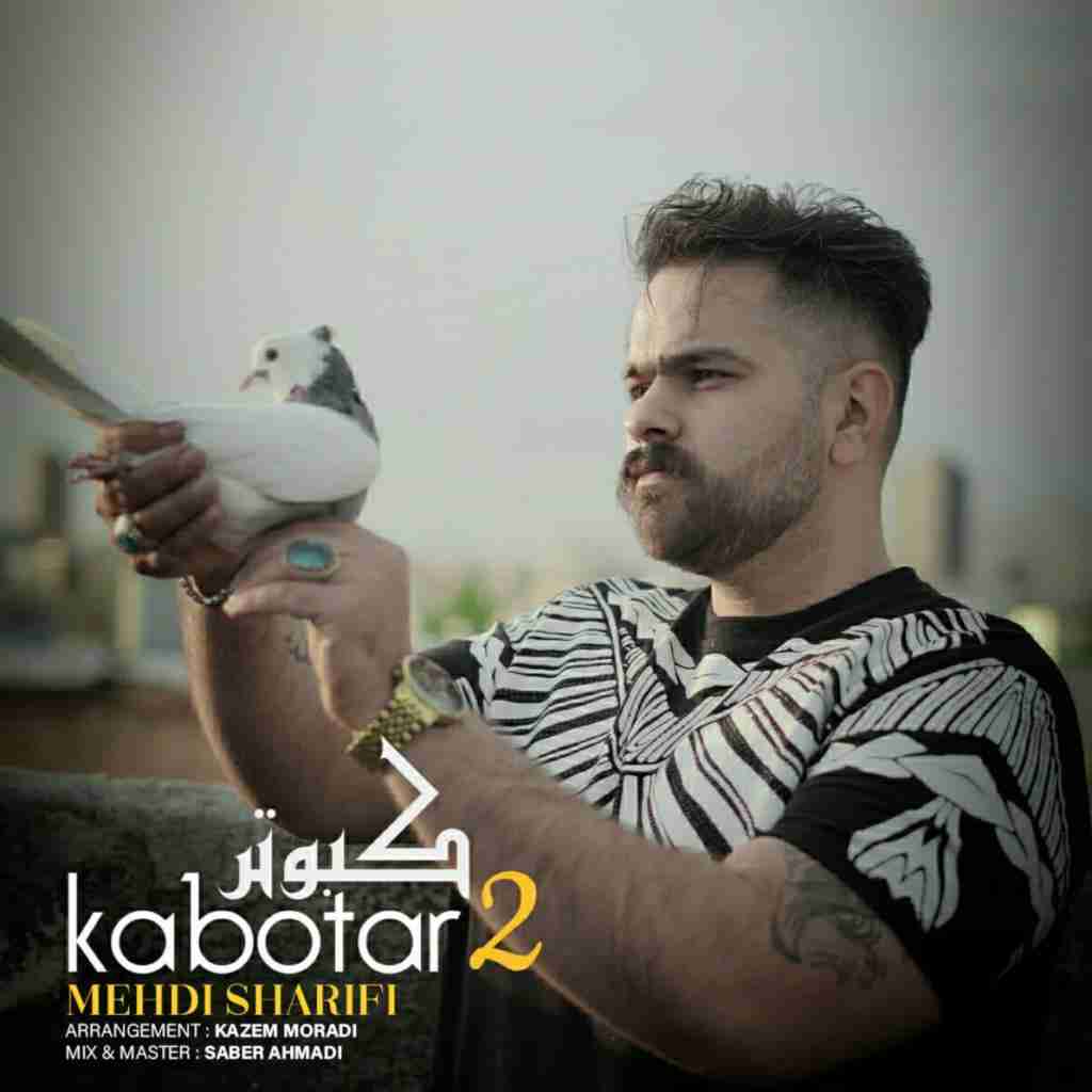 مهدی شریفی کبوتر 2