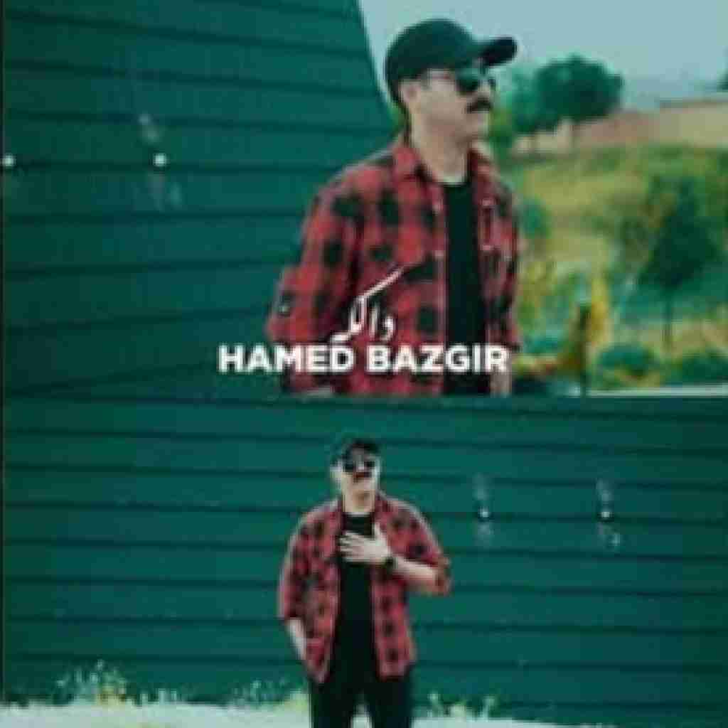 حامد بازگیر دالکه