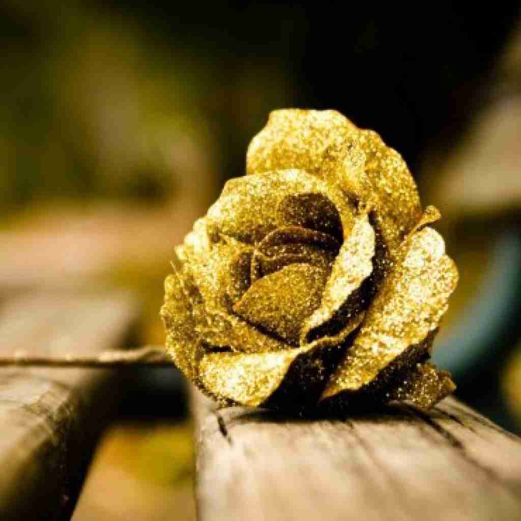  انقدر داد زدم سرمو به دیوار زدم با صدای دختر