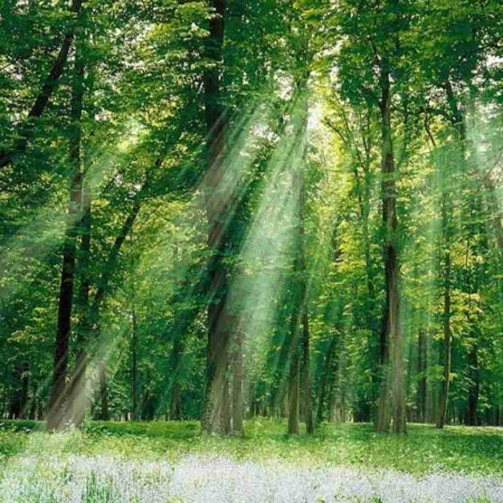دل بردی از من ساده وای از من دلداده با صدای بچه
