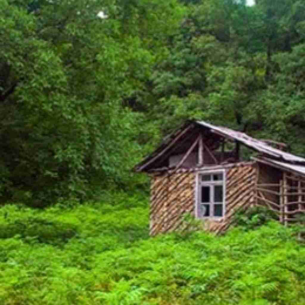 صدایم بزن که شاید هوش مصنوعی با صدای زن و مرد