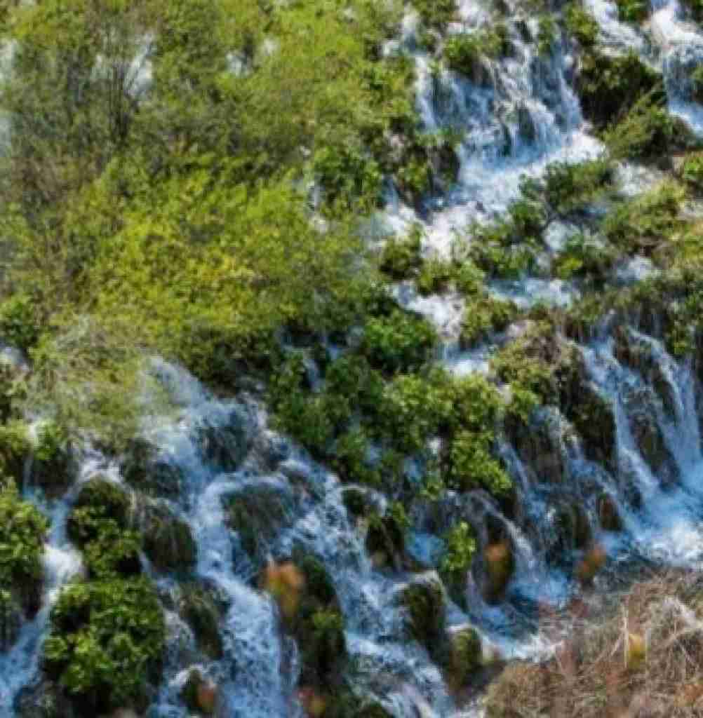 امشب و نیستم فردا رو آره