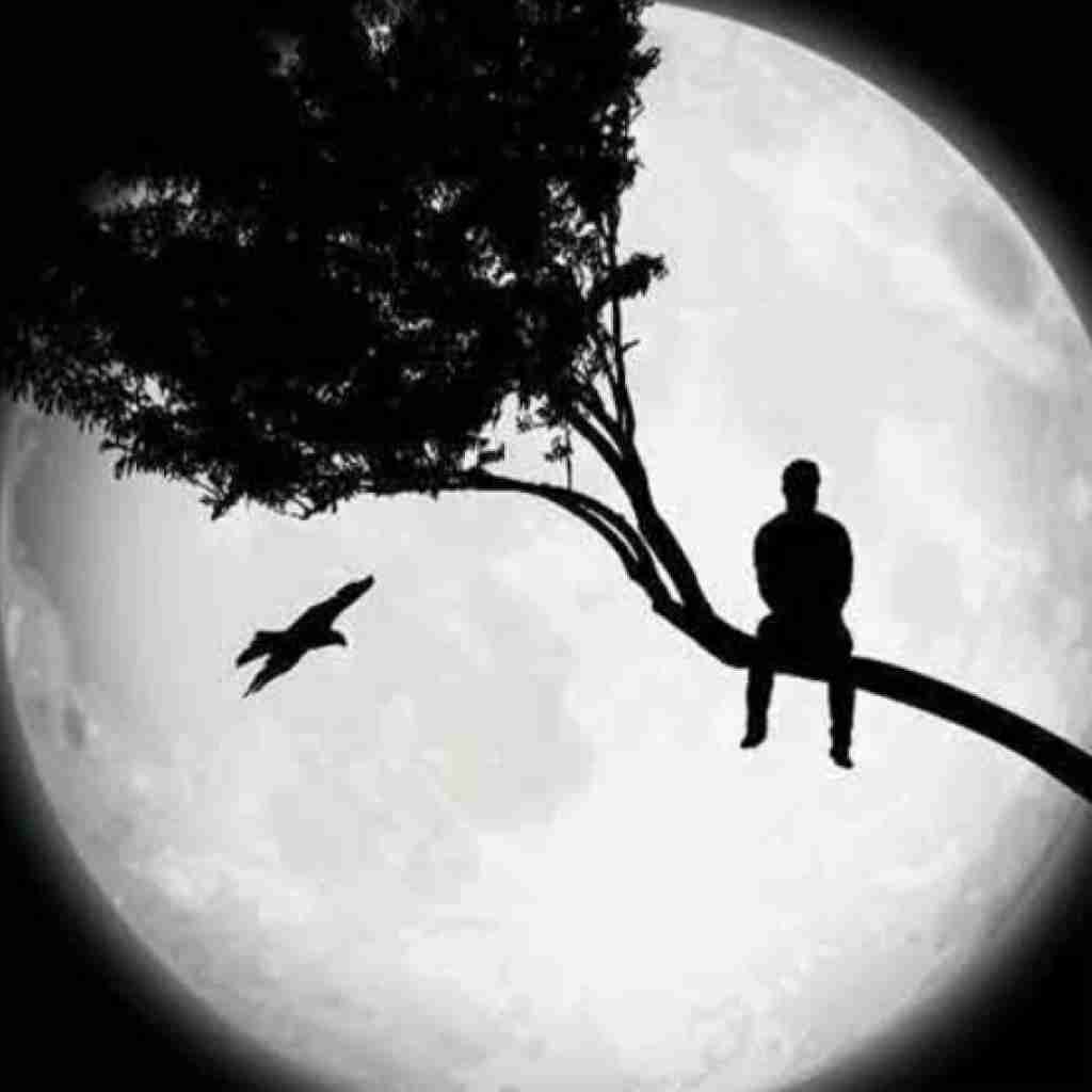 دل شب یادت کرده دلم میکس ترکیبی ترند اینستا