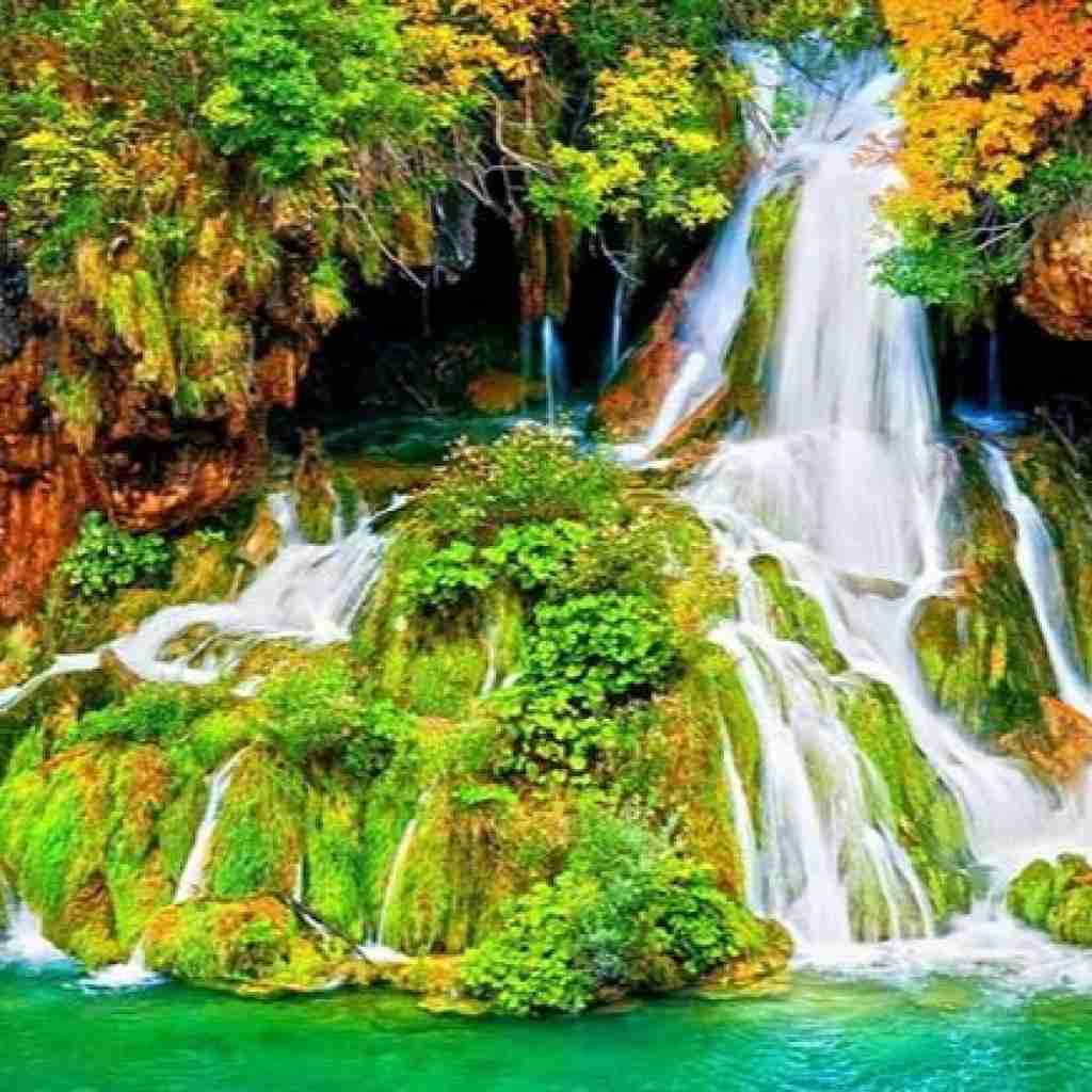 منم که لک لک غمگینی به روی دودکشت هستم