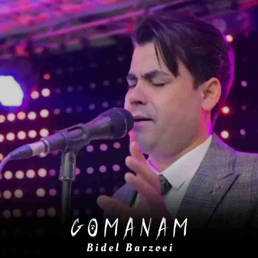 بیدل برزویی گمانم