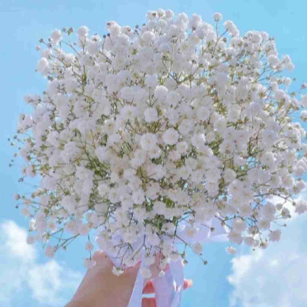 با کاراشون روانیت میکنن میپرسن چرا با صدای دختر