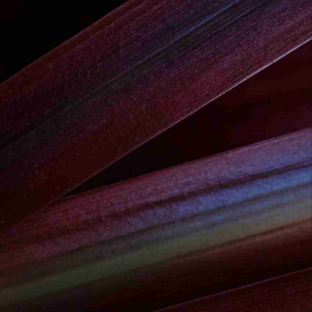  منو نترسون بیب نشو ازم دور حیفه