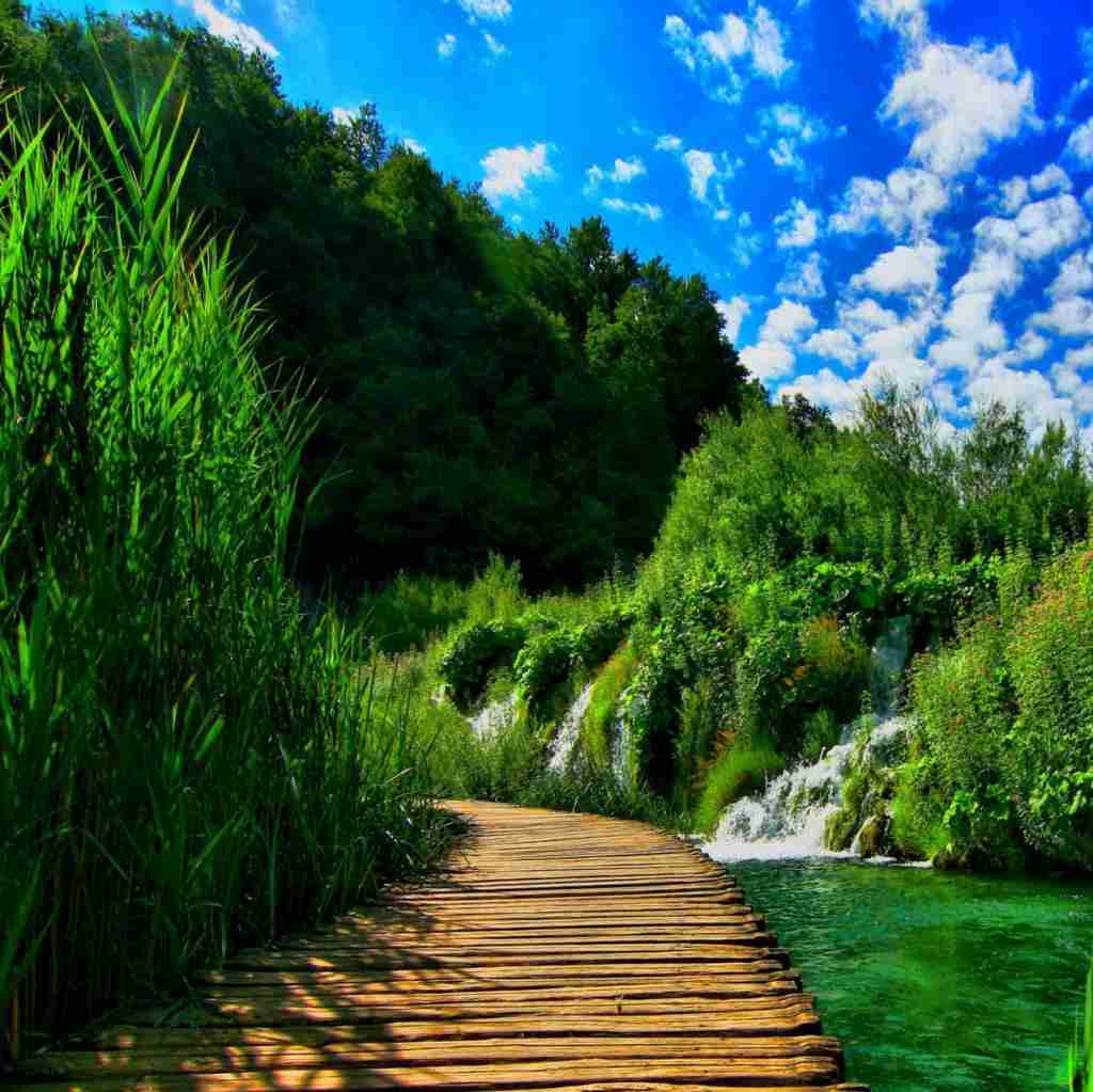 تو شدی عزیز تر از جونم چون تویی خب یکی یدونم هوش مصنوعی