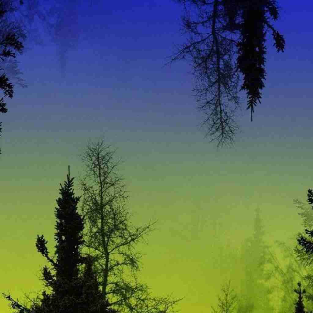 ای خالق هر قصه ی من این منو این تو با صدای دختر اینستایی