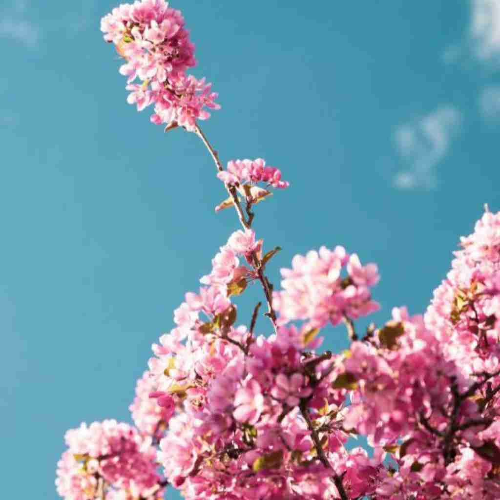 من زیر سوزن خوابیدم از دست یسری تو زرد (میکس اینستایی)