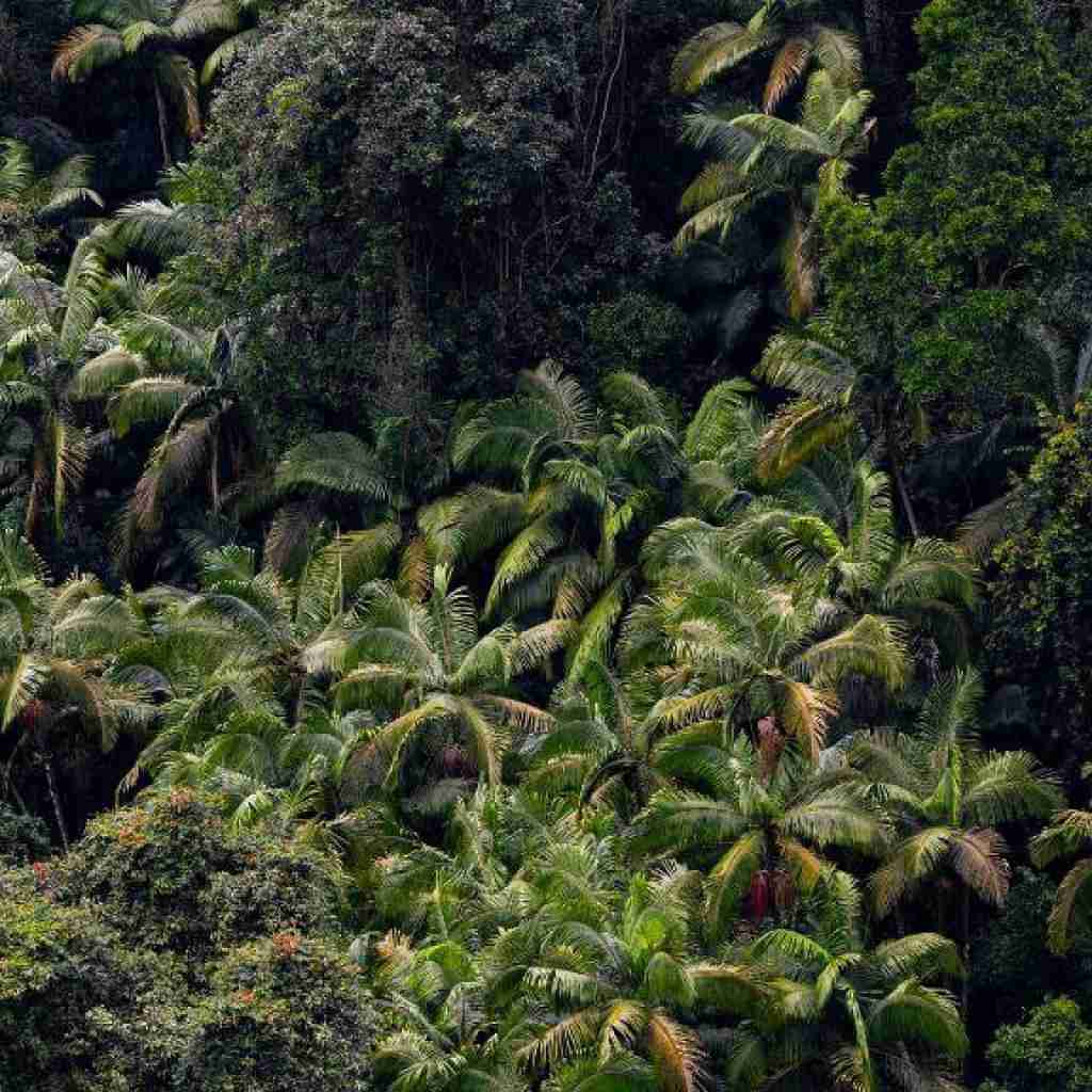 مگه میشه فراری شم از این حسی که دارم بهت