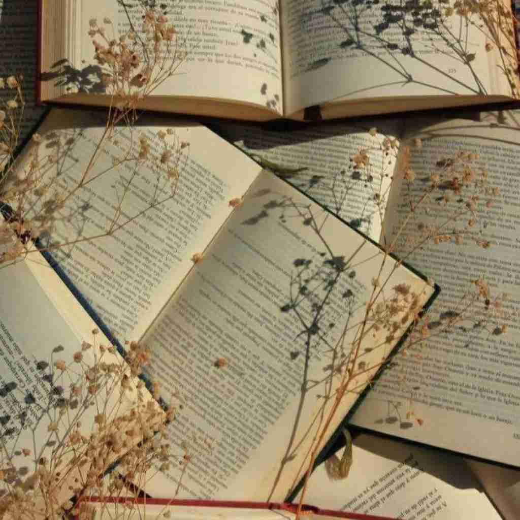 عاشق صداشو کاراشو چشاشم ندیدم بهتر ازش