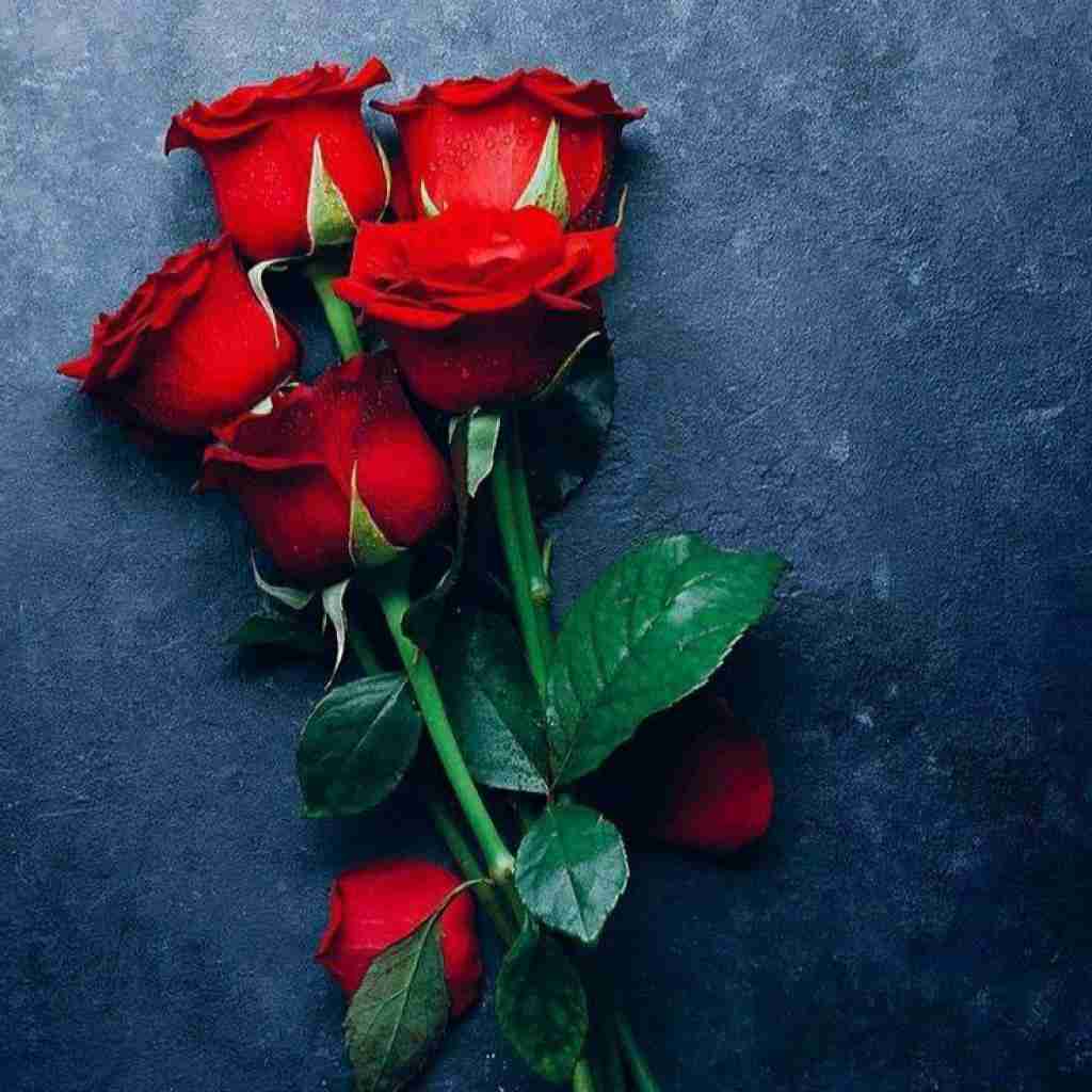 دیدی زدی زیرش دیدی گفتم قلبی نداری با صدای دختر