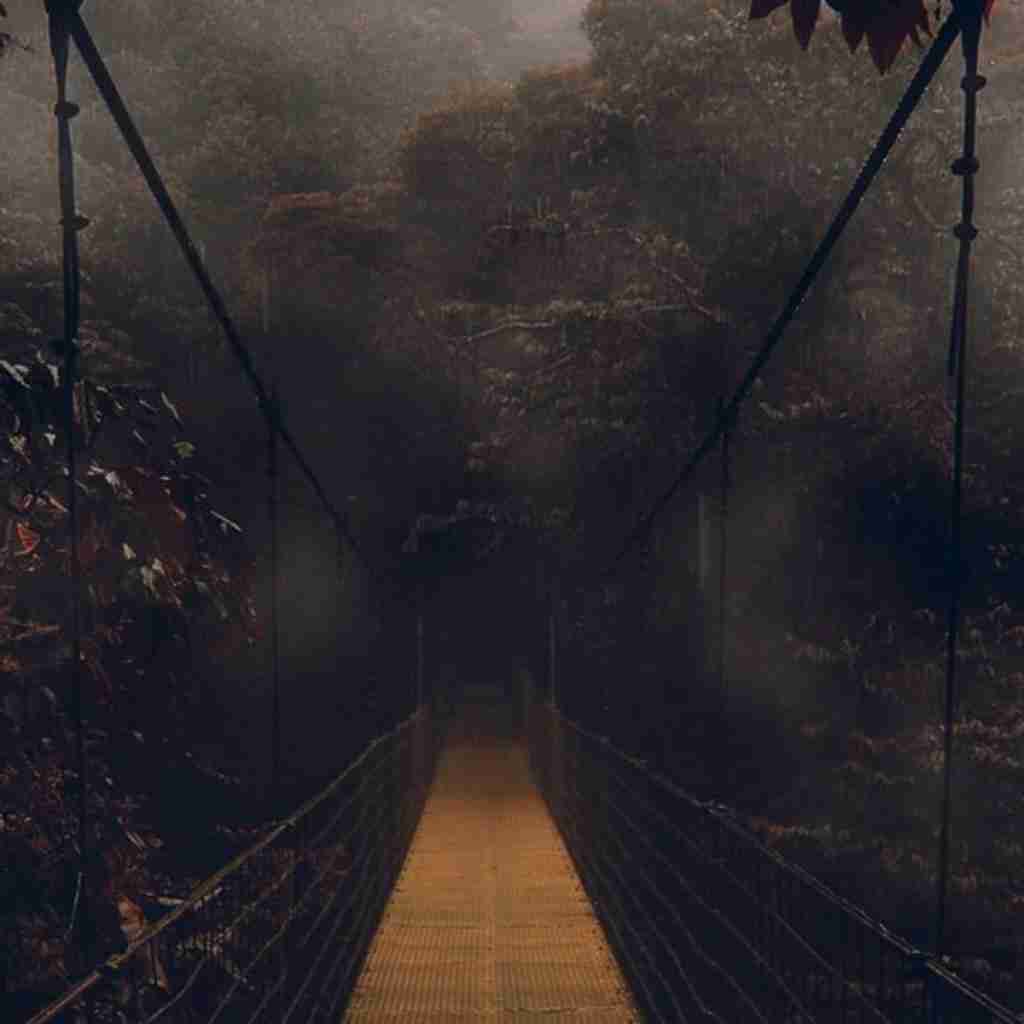 فاطمه رحمانی گل من