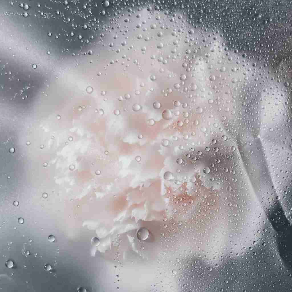 سرمو میدم آوازه قو تموم شد داستانمون